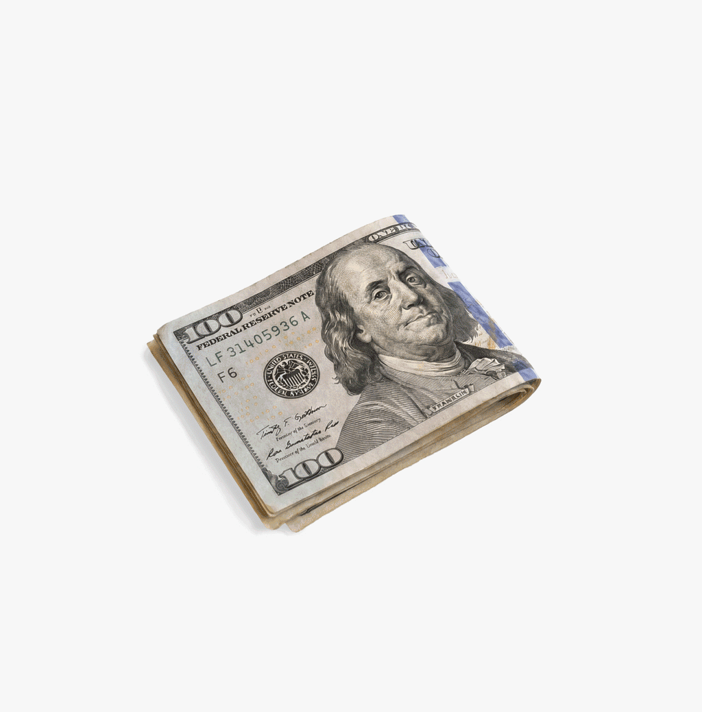 Cat Print Money Clip