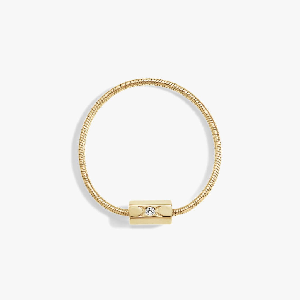 Snake Chain Collector Bracelet