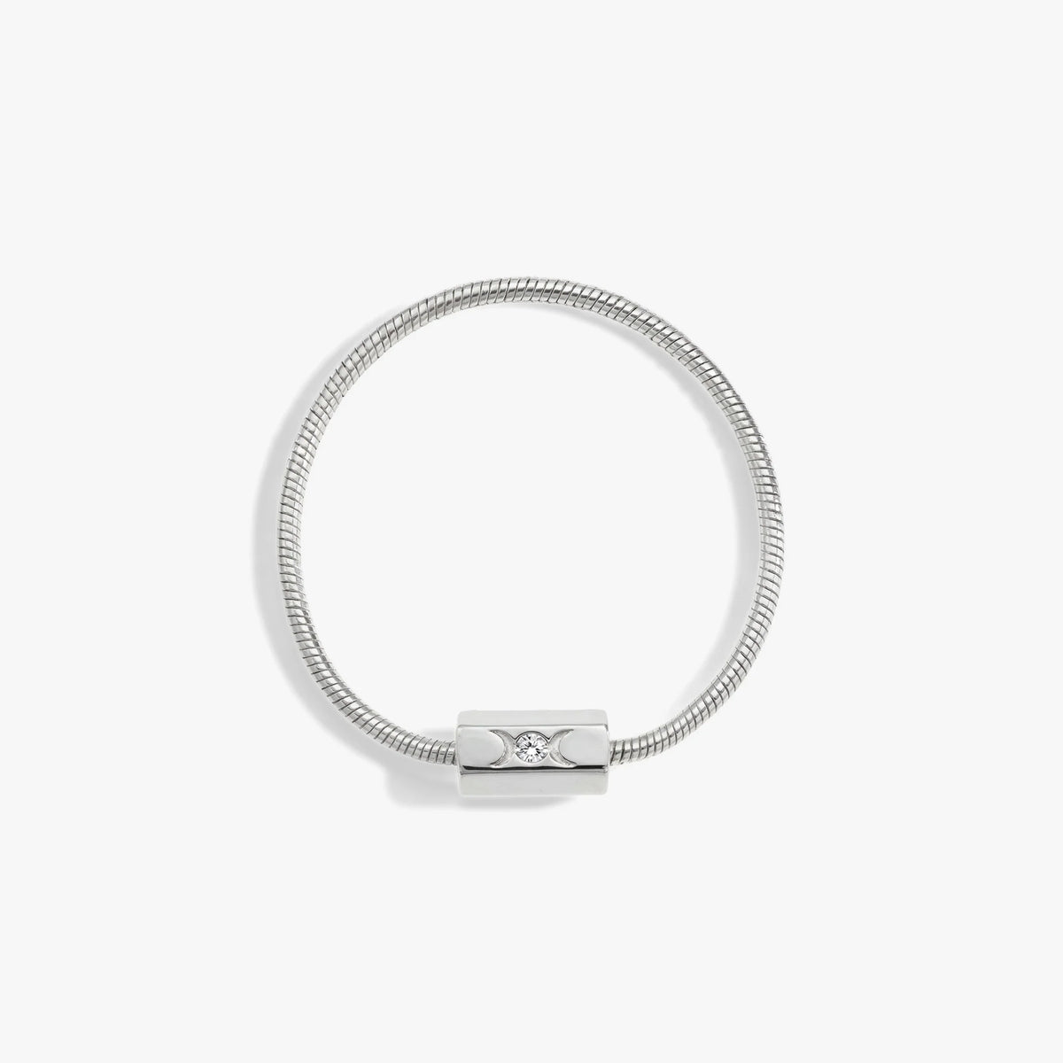 Snake Chain Collector Bracelet