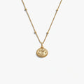 Aquarius Mini Gemstone Necklace