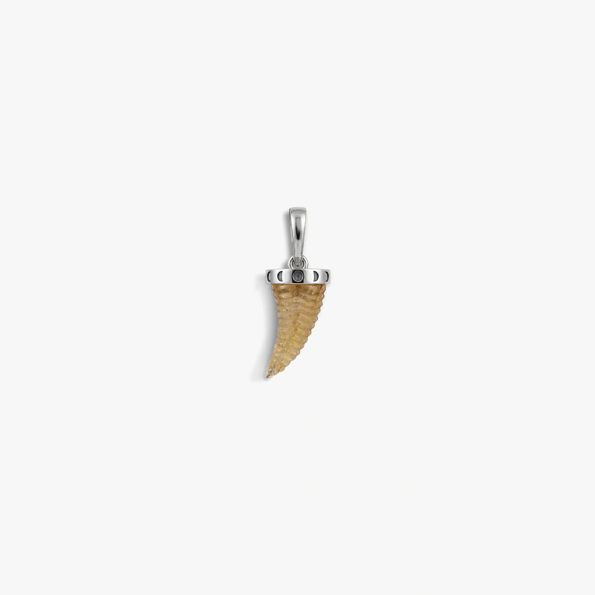 Carved Saber-Tooth Pendant