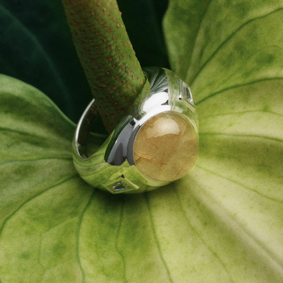 Future Artifact Ring