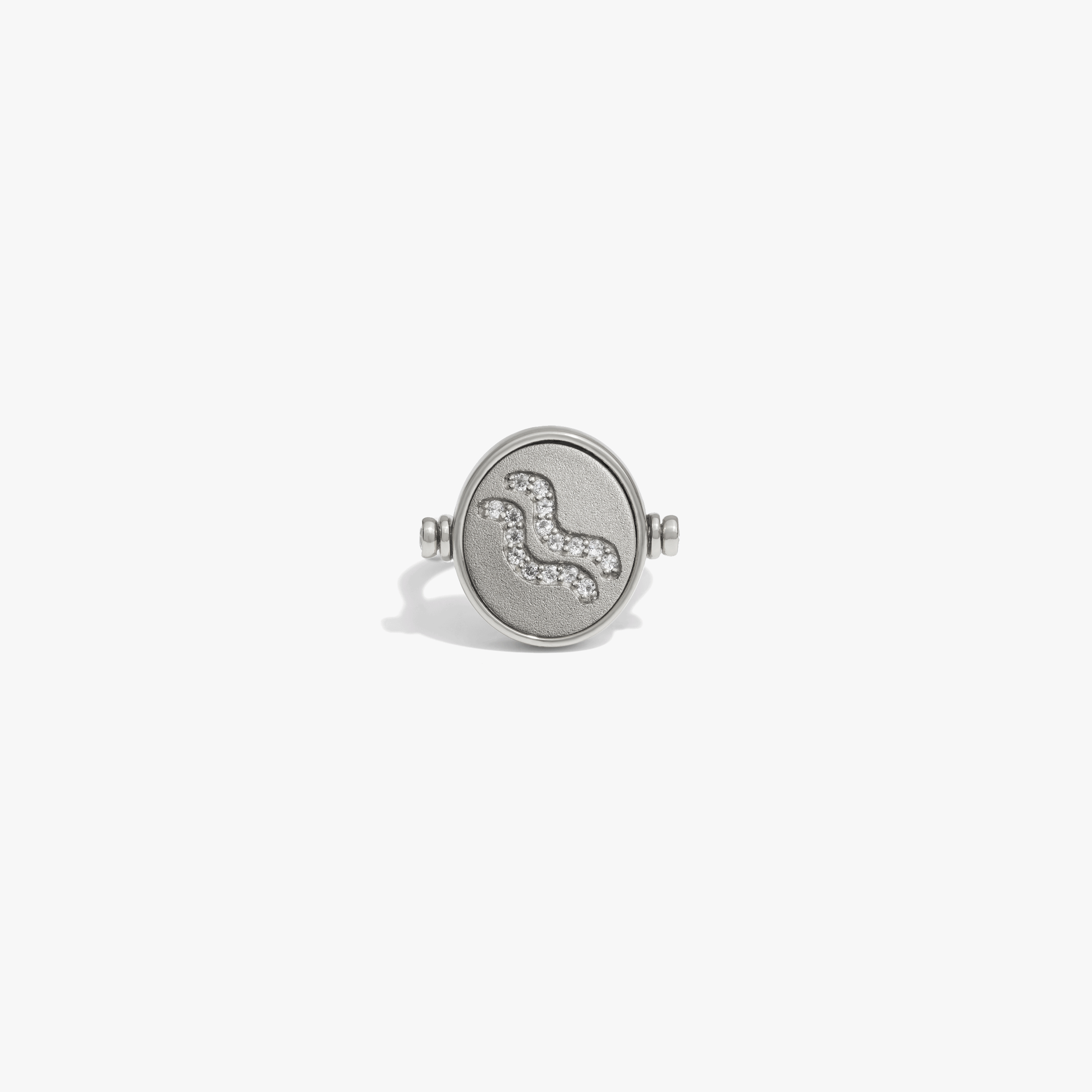 Zodiac Element Flip Ring