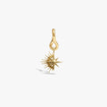 Men's Shooting Star Collector Earring