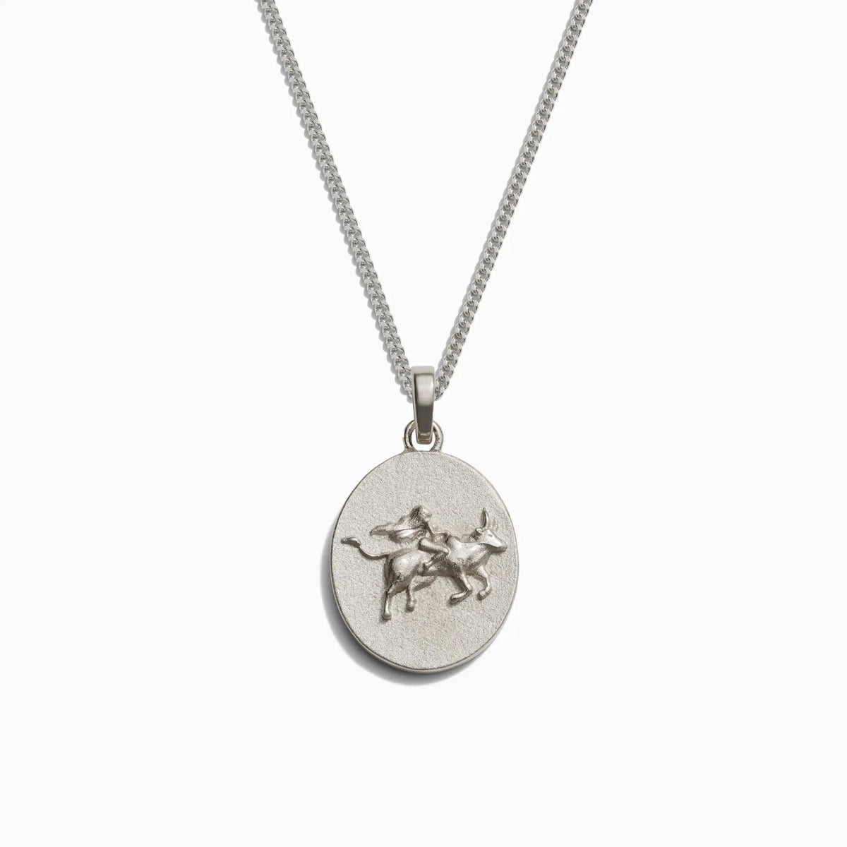 Men's Zodiac Necklace