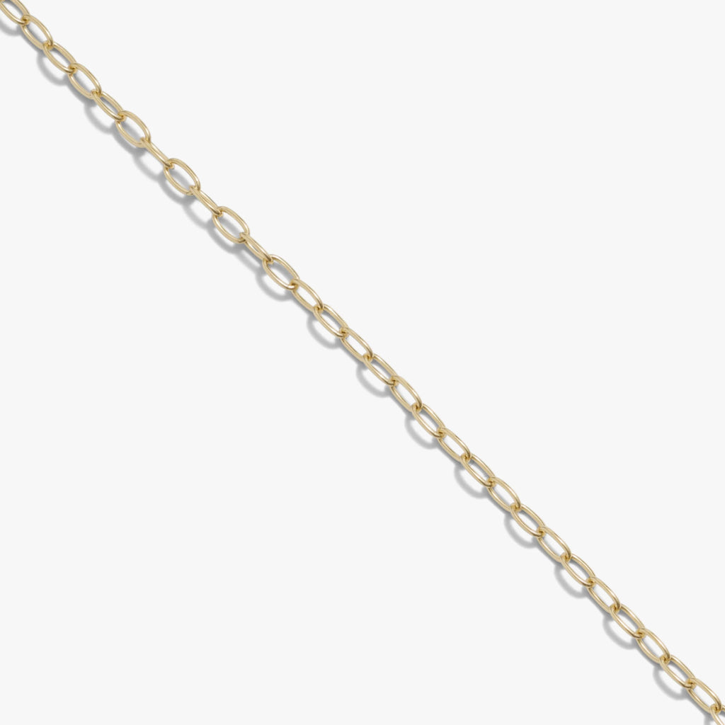 Delicate Paperclip Chain