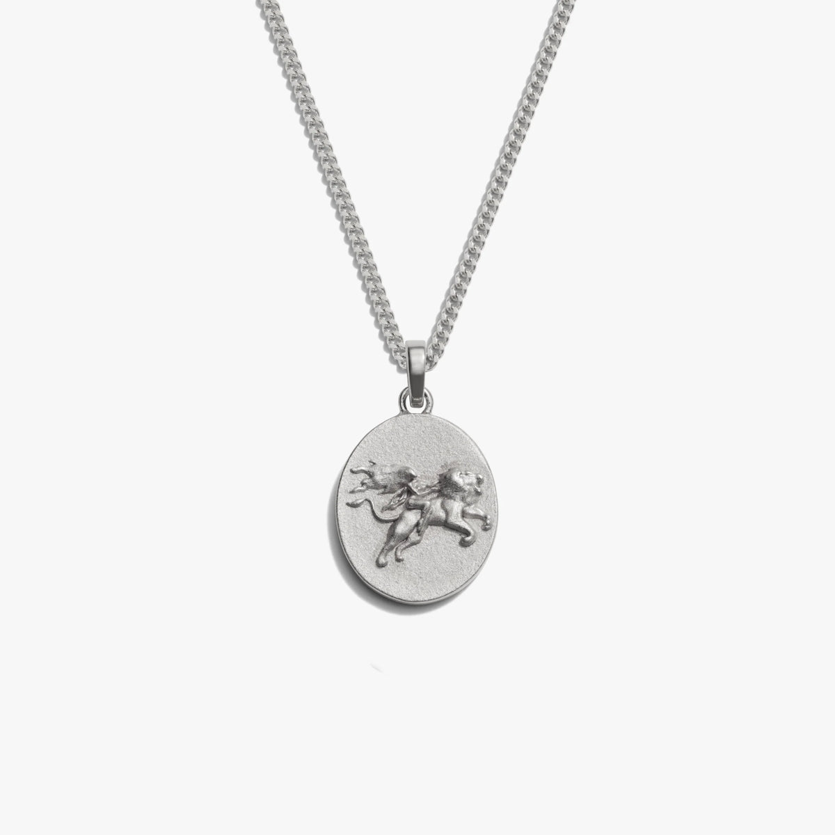 Men's Zodiac Necklace