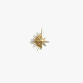 Shooting Star Amulet