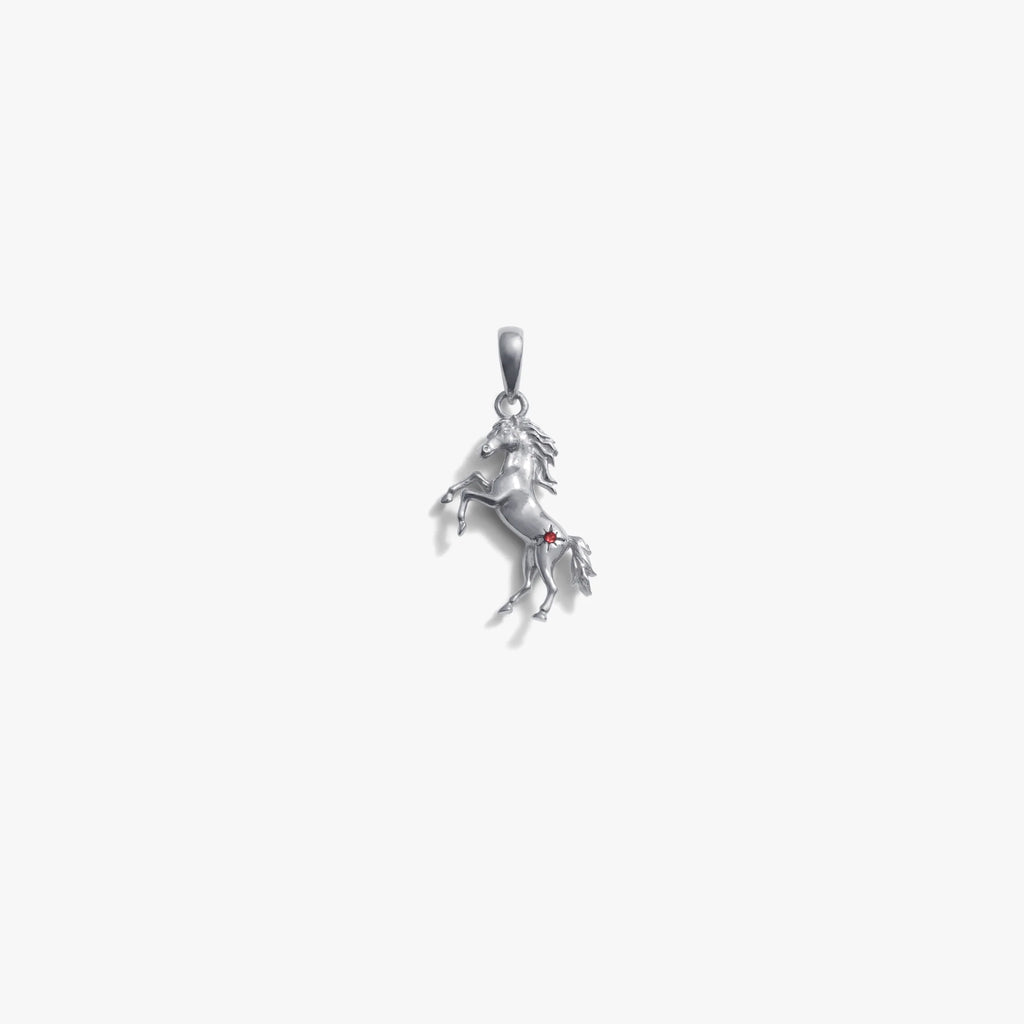 Stallion Amulet
