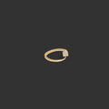 Horseshoe Nail Ring