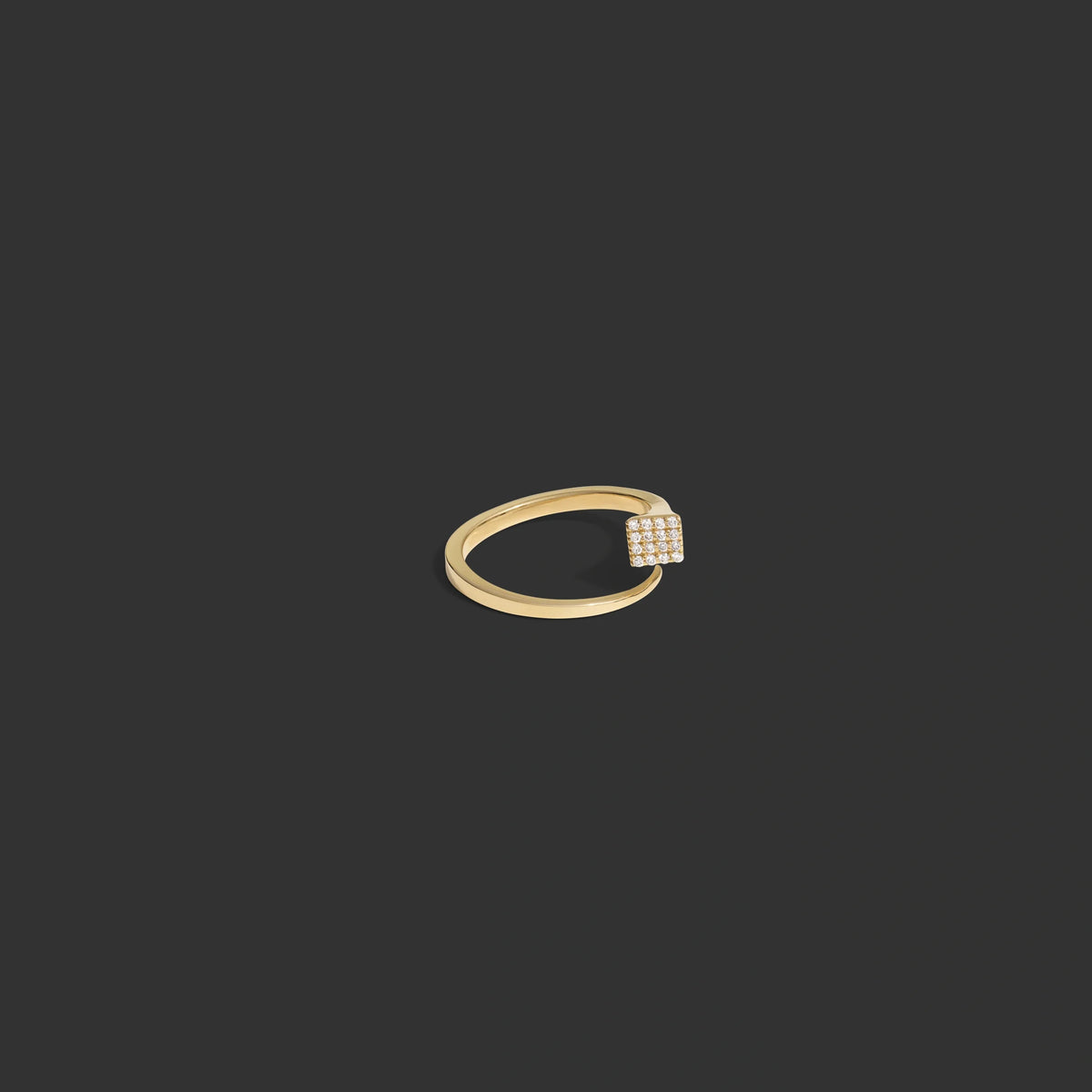 Horseshoe Nail Ring
