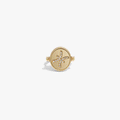 Pisces & Water Flip Ring