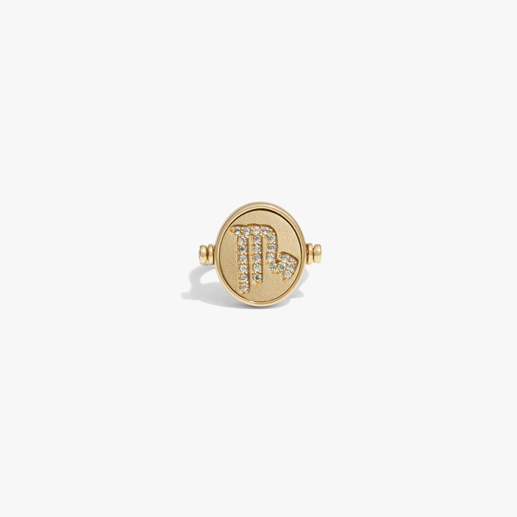 Scorpio & Water Flip Ring