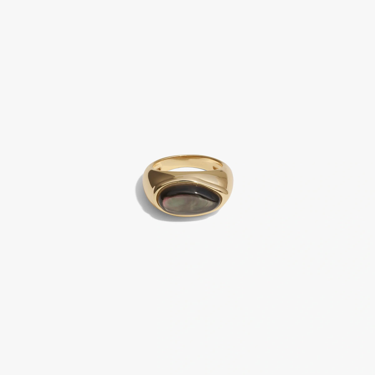 Men's Gemstone Signet Ring