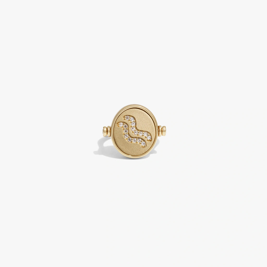 Aquarius & Air Flip Ring