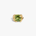 Queen of the Fairies Ring