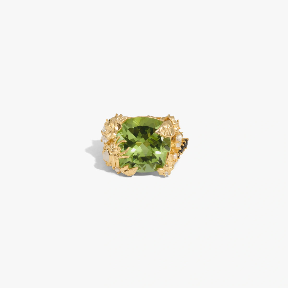 Queen of the Fairies Ring