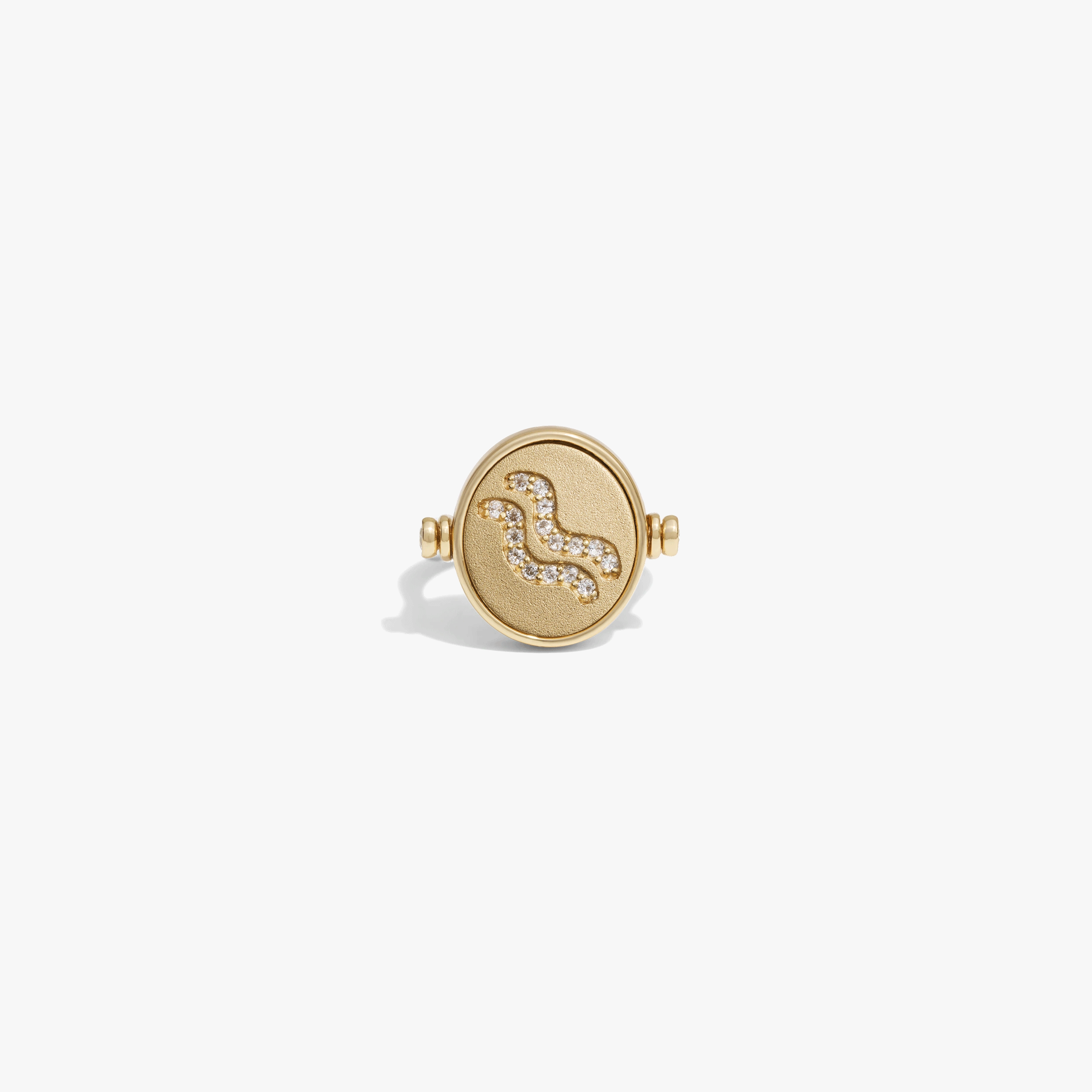 Aquarius & Air Flip Ring