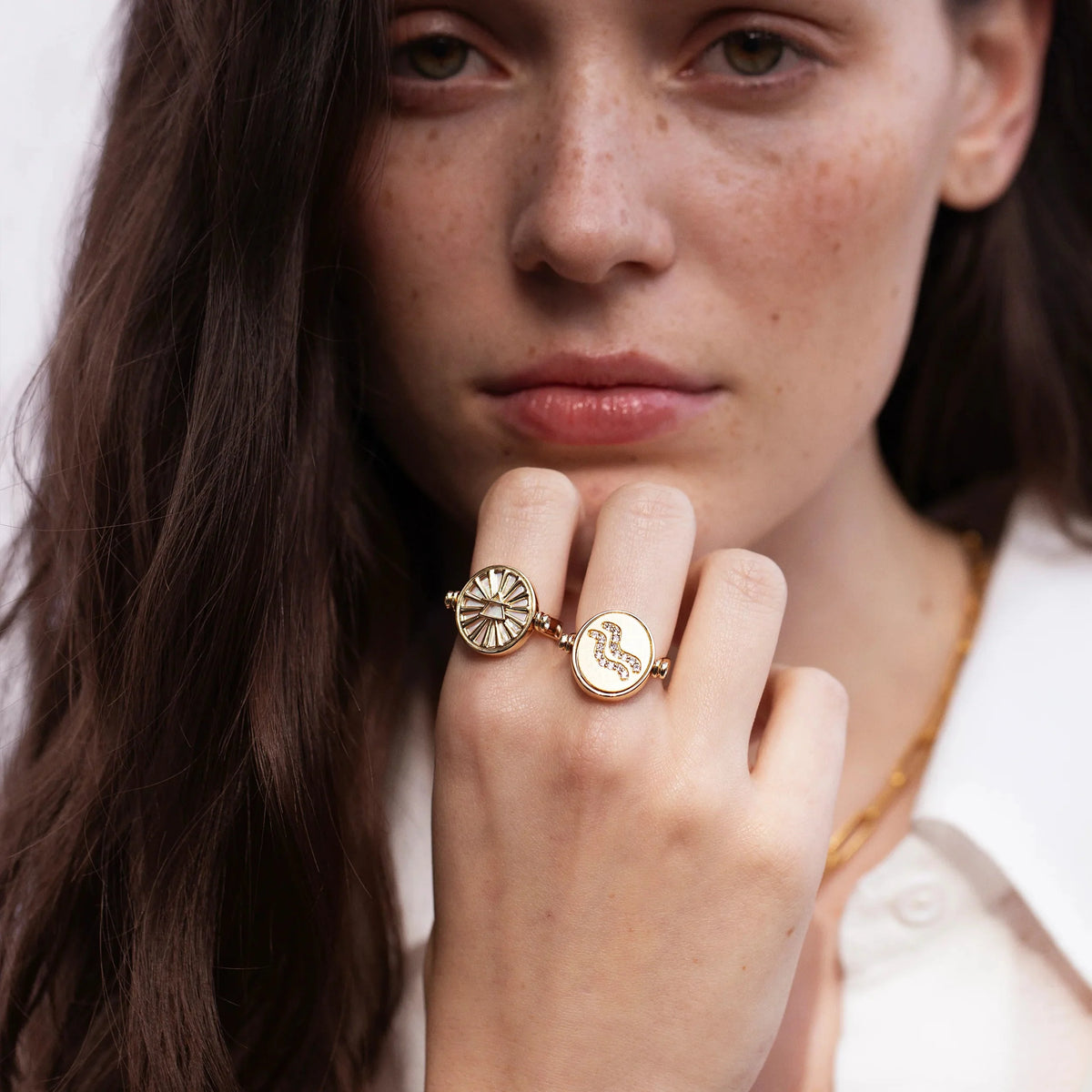Aquarius & Air Flip Ring