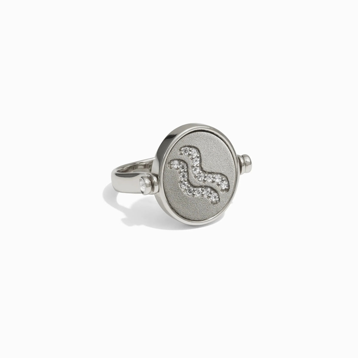 Aquarius & Air Flip Ring