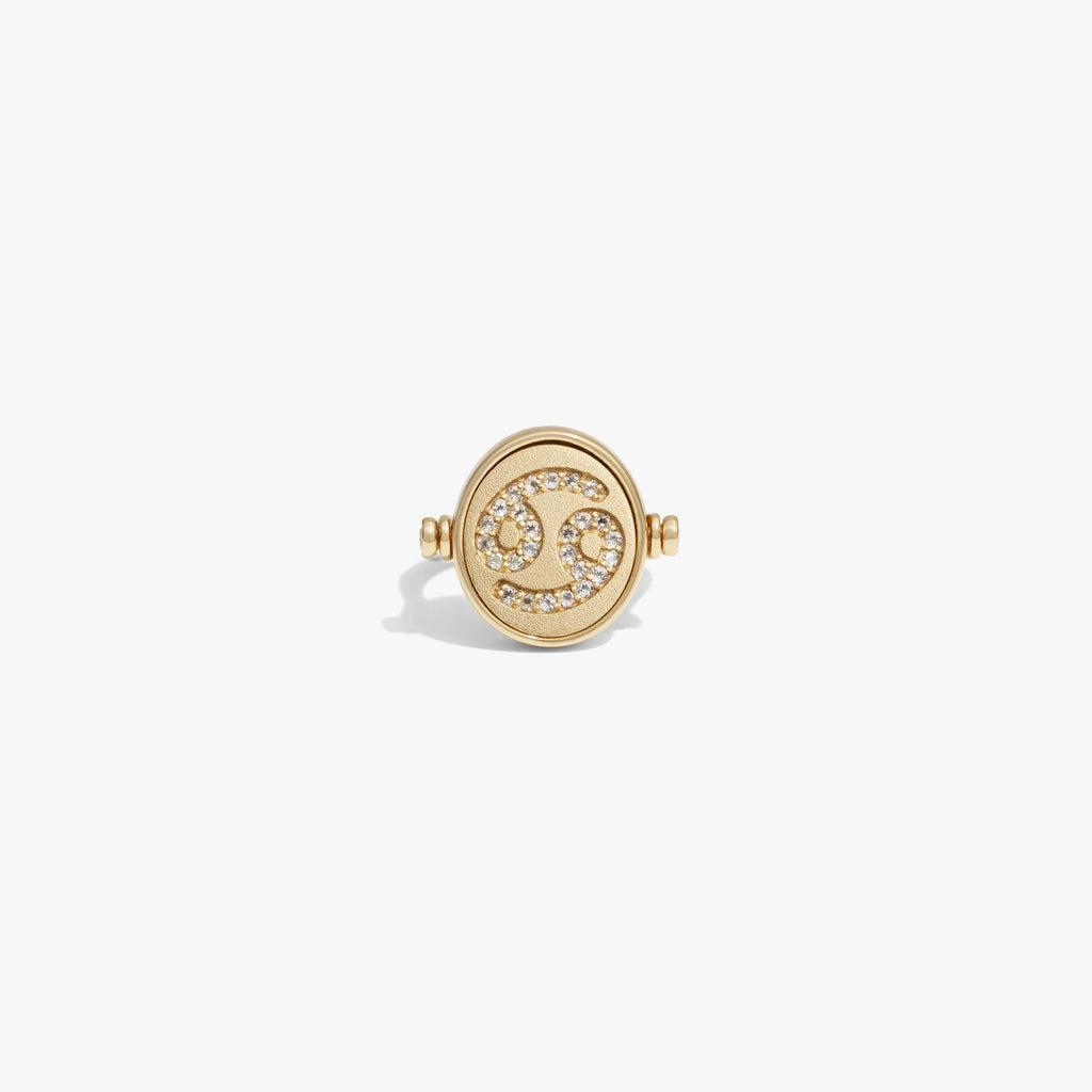 Cancer & Water Flip Ring