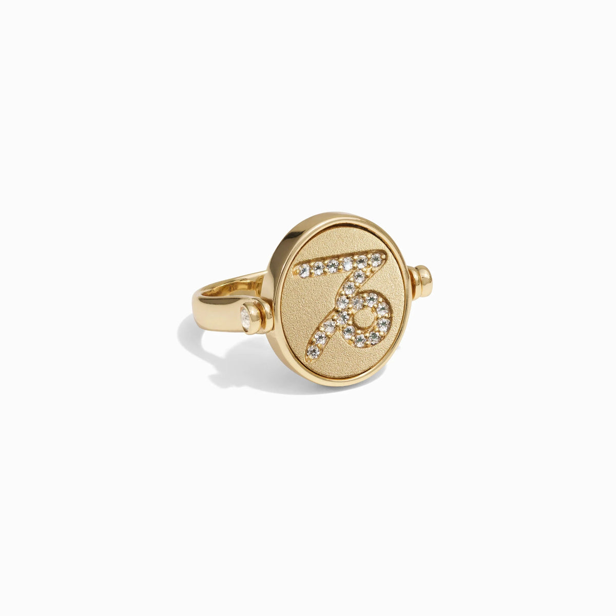 Capricorn & Earth Flip Ring