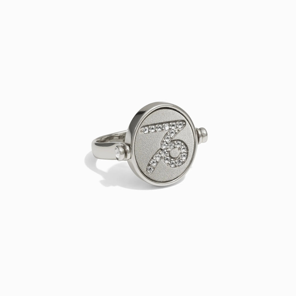 Capricorn & Earth Flip Ring