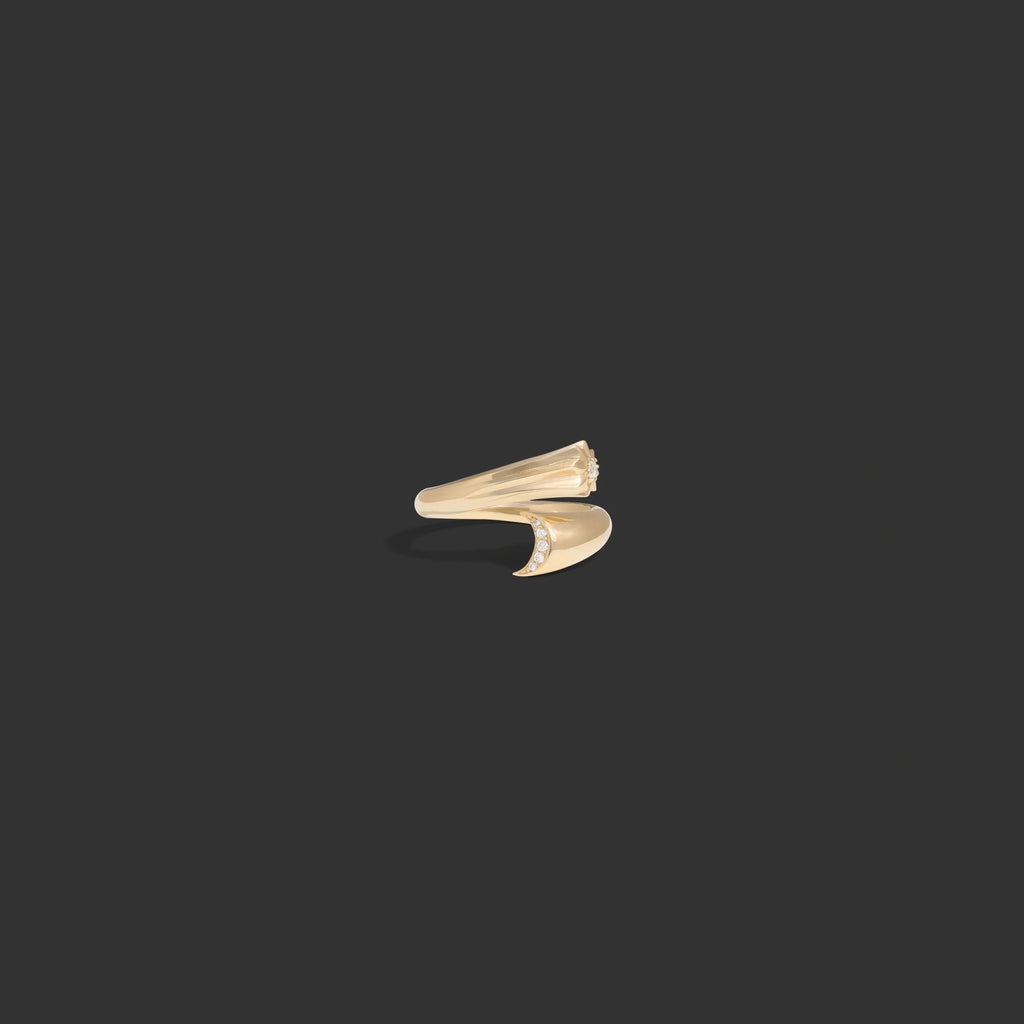 Diamond Celestial Ring