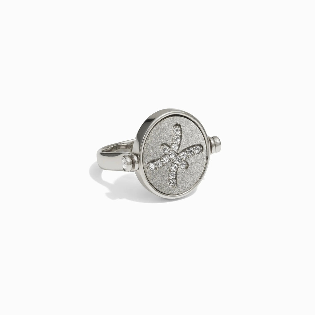Pisces & Water Flip Ring
