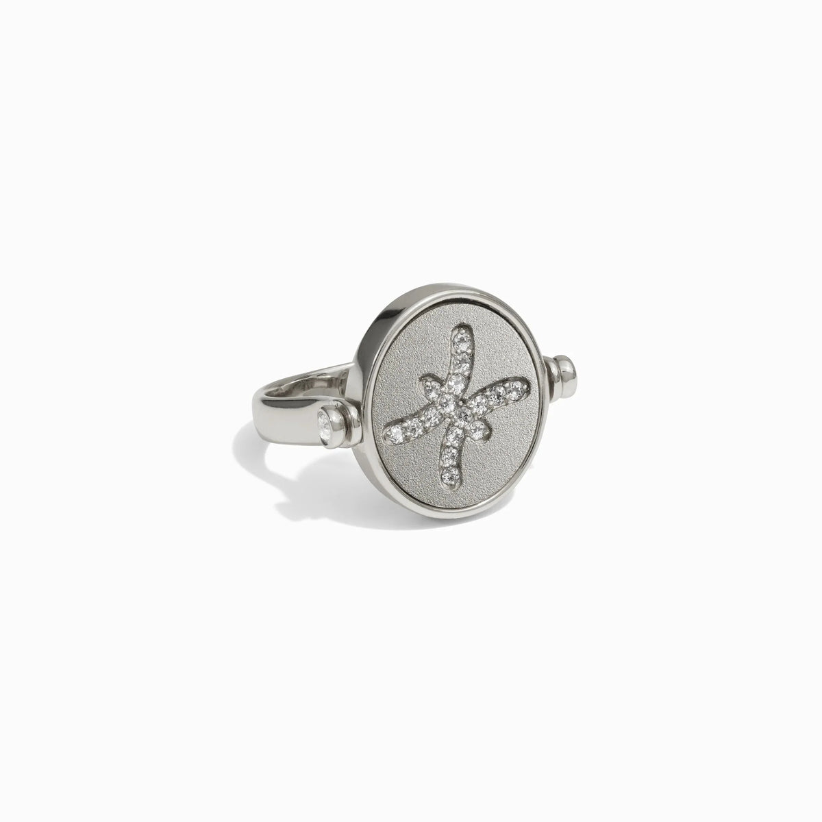 Pisces & Water Flip Ring