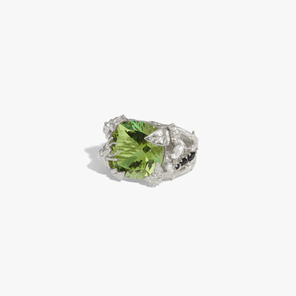 Queen of the Fairies Ring