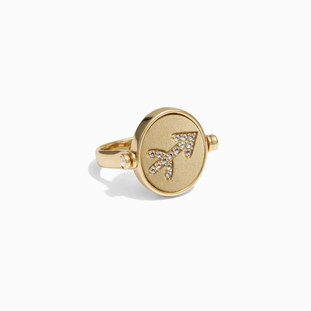 Sagittarius & Fire Flip Ring