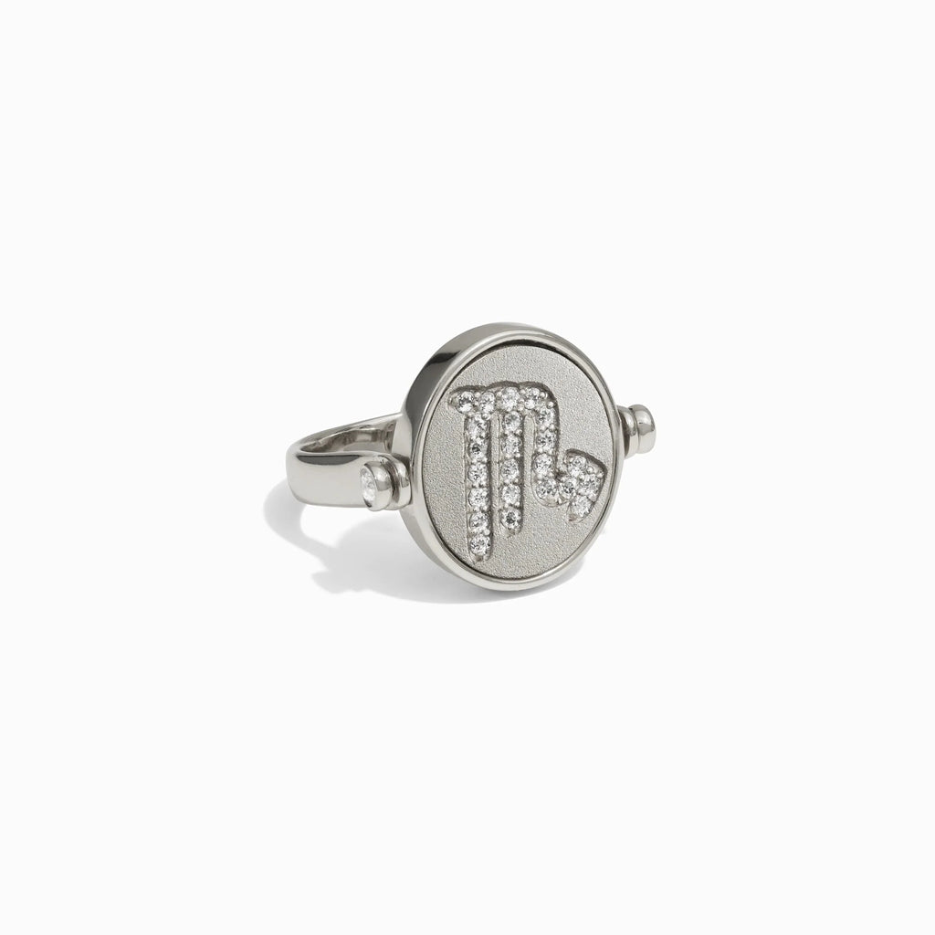Scorpio & Water Flip Ring