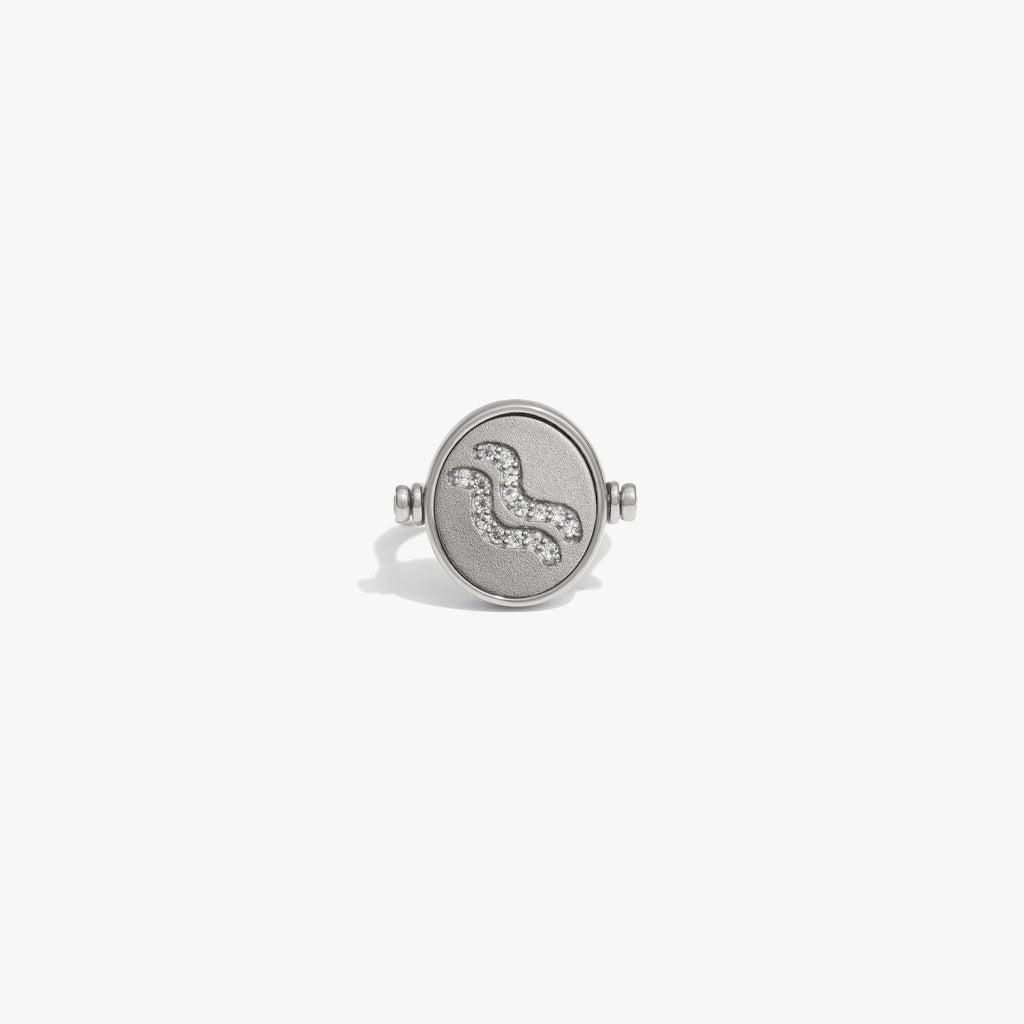 Aquarius & Air Flip Ring