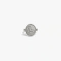 Aquarius & Air Flip Ring