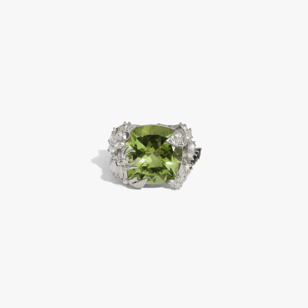 Queen of the Fairies Ring